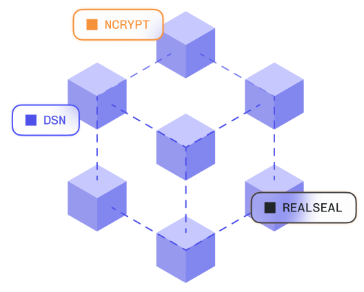 Modular Architecture Illustration